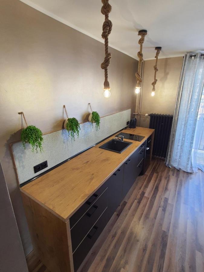 Appartement Apartament Nad Fontanna à Malbork Extérieur photo