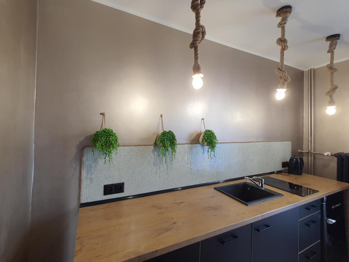 Appartement Apartament Nad Fontanna à Malbork Extérieur photo